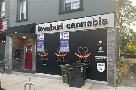 anal lovebud