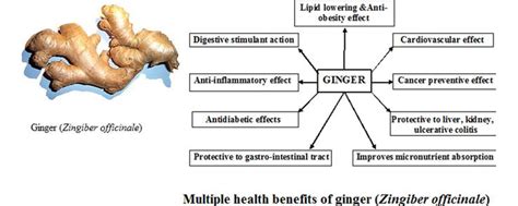 Gambar Efek Analgesik Jahe