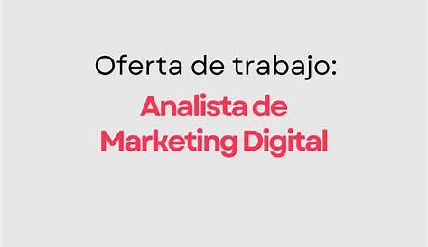 O Que Faz um Analista de Marketing Digital? Descubra! | Ignição Digital