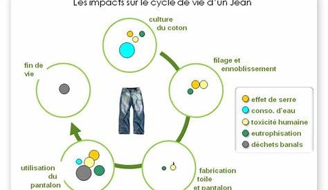 Le cycle de vie d'un jean et son empreinte écologique