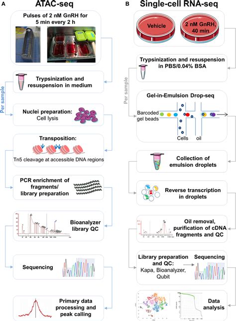 analysis of rna-seq data