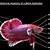 anatomi ikan cupang