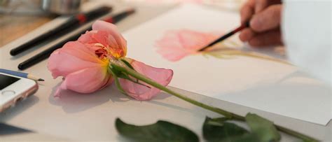 Viral Anatomia De La Rosa 2023