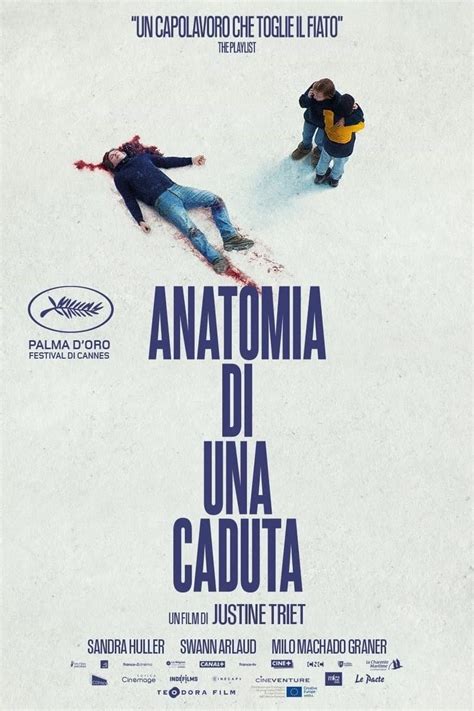 anatomia di una caduta cinema bologna