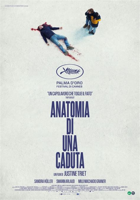 anatomia di una caduta cinema modena