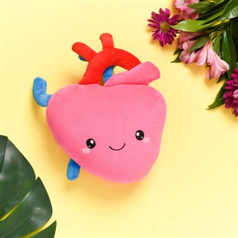 Anatomical Heart Plush