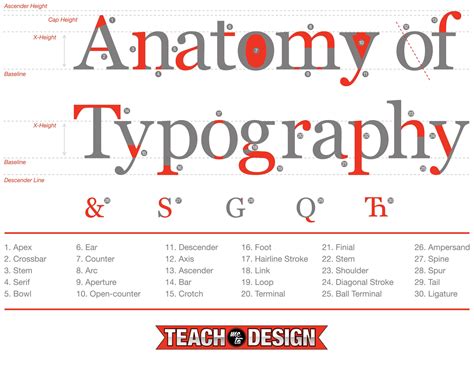 Anatomy of typography Worksheet Adobe Education Exchange