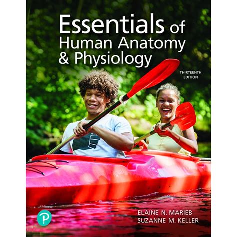 anatomy and physiology 13th edition pdf