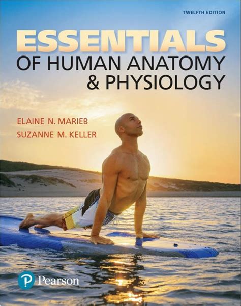 anatomy and physiology essentials