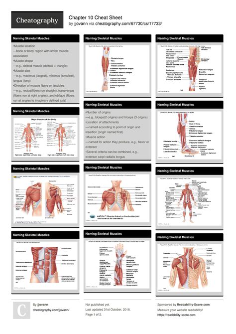 anatomy and physiology filetype pdf