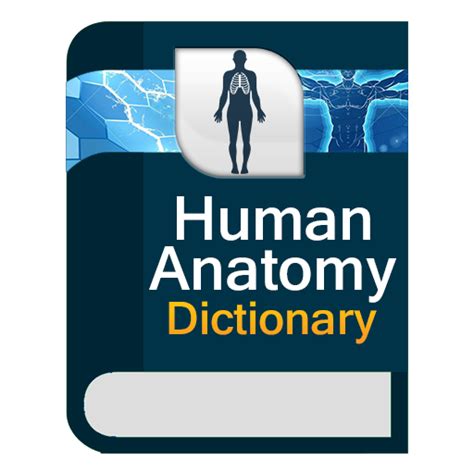 anatomy dictionary online