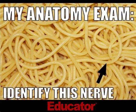 15 Exam Memes New Memes Revised for 2022