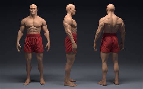Anatomy of a character