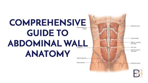 anatomy of a wall