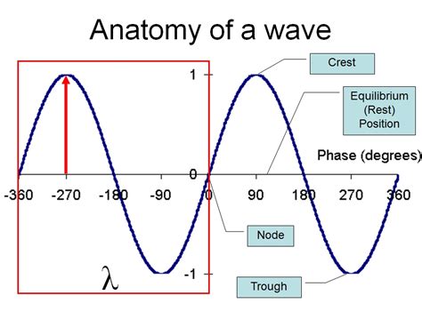diagram of the anatomy of a wave