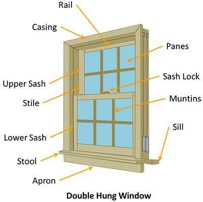 Anatomy Of Double Hung Window