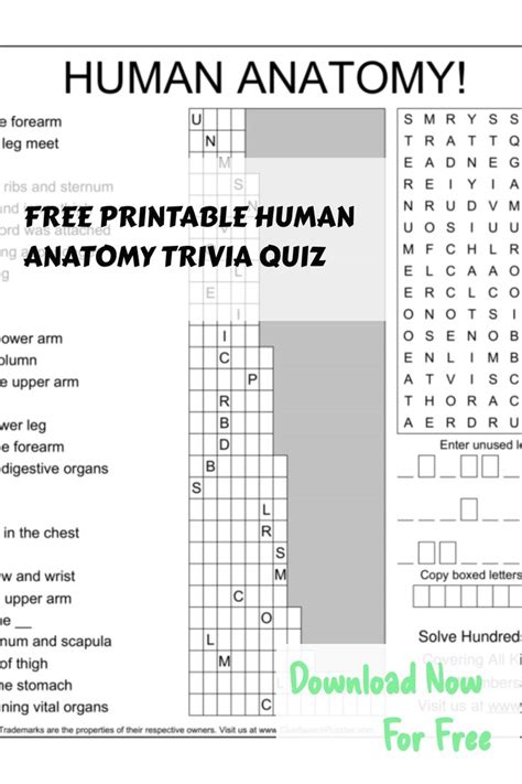 Anatomy Trivia Easy