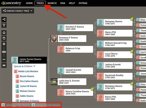 ancestry search family tree