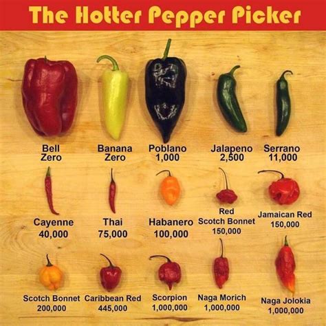 ancho chili pepper scoville