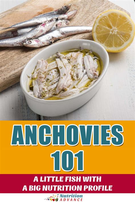 Anchovies Little Fish