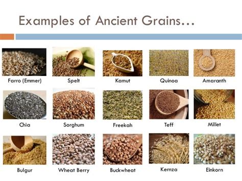 Ancient Grain Examples