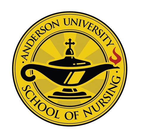 anderson university nursing program sc