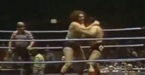andre the giant fight