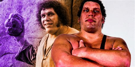 andre the giant movie roles