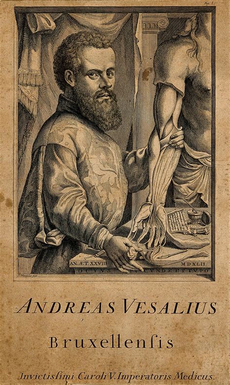 andreas vesalius was the author of