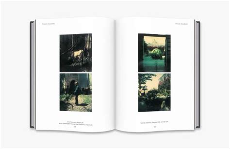 andrei tarkovsky polaroids pdf