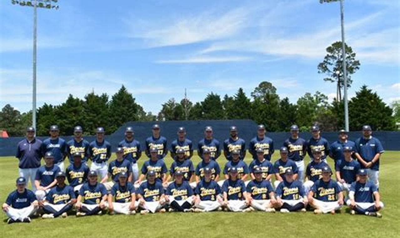 Andrew College Baseball: A Winning Tradition and Unwavering Commitment to Excellence