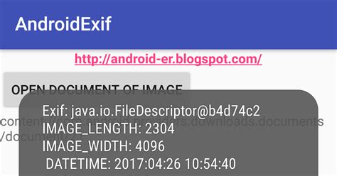 Android Filedescriptor Read File