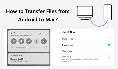 These Android To Apple Data Transfer App Popular Now