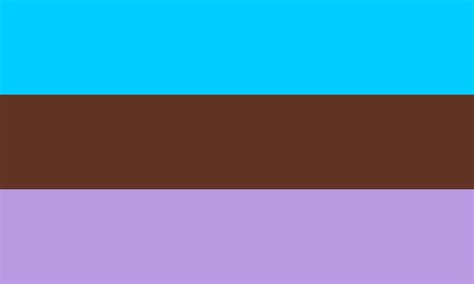 androsexual meaning and flag