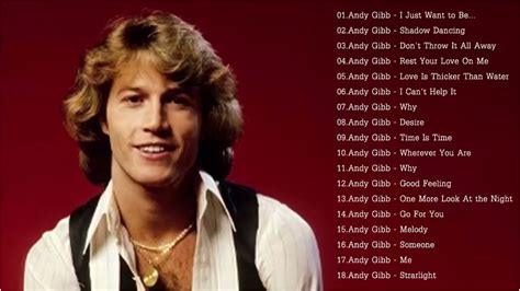 andy gibb singing words
