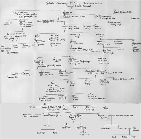 andy griffith show family tree
