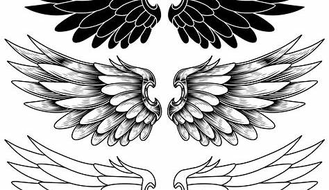 Wings #Tattoosonback | Wings tattoo, Wing tattoo designs, Angel wings
