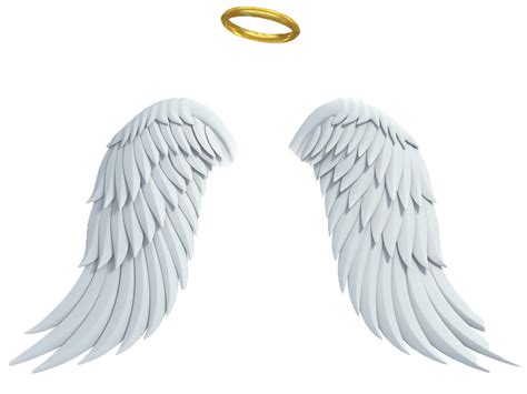 angel wings and halo transparent