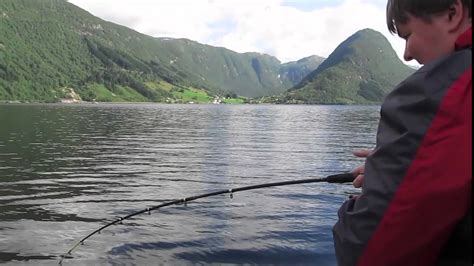 angeln im sognefjord norwegen