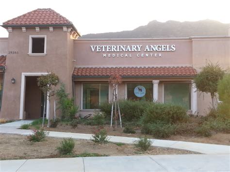 angels vet clinic spring tx