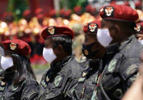 Anggota Bin Indonesia: Keberadaan Dan Peran Pentingnya Di Tengah Masyarakat