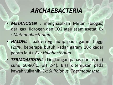 Keunikan Anggota Archaebacteria yang Hidup di Lingkungan Berkadar Garam Tinggi