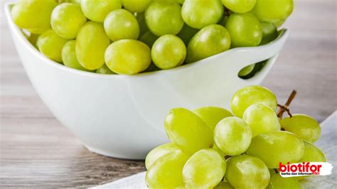 Anggur vitamin