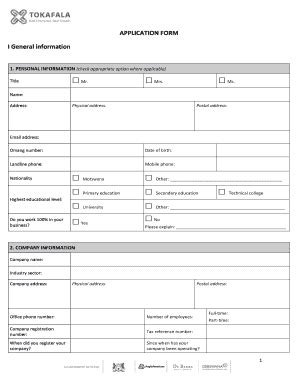 anglo american application form