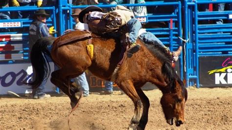 angola rodeo tickets for sale