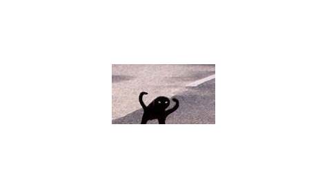 Angry Cat Meme Black - canvas-talk