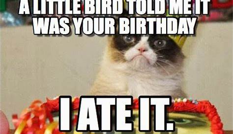 Angry Cat Birthday Meme Another Year Closer to Death Good Grumpy Cat