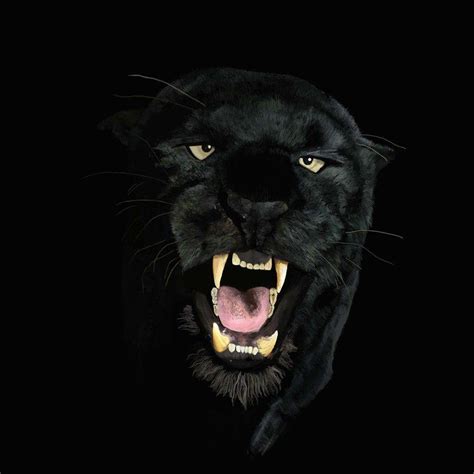Roaring Beauty: The Majestic Black Panther Animal Wallpaper