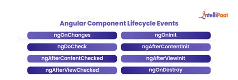 Angular Component Event Lifecycle