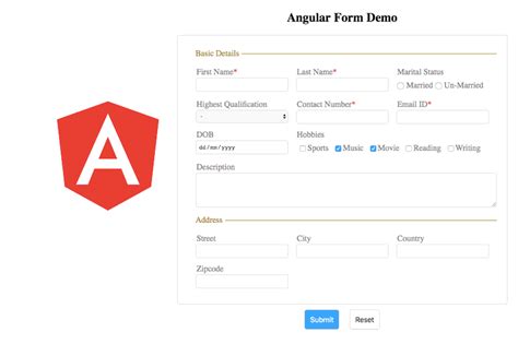 Angular Form Input Example